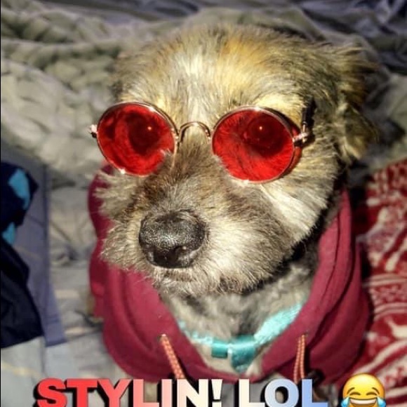 Meet your Posher, Maria - Picture 6 of 16